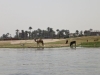 dsc01967 dsc01967