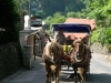 immagine-232 immagine-232